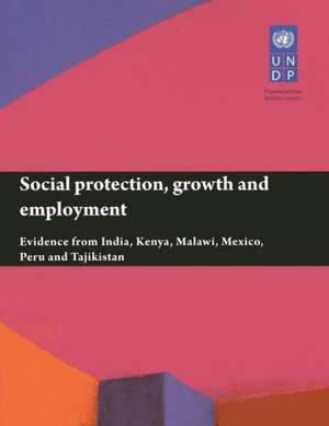 Social Protection, Growth and Employment de United Nations