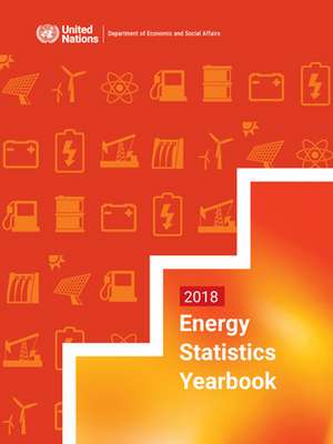 Energy Statistics Yearbook 2018 de United Nations Publications