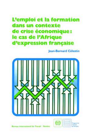 L'Emploi Et La Formation Dans Un Contexte de Crise Economique: Le Cas de L'Afrique D'Expression Francaise de Jean-Bernard Cilestin