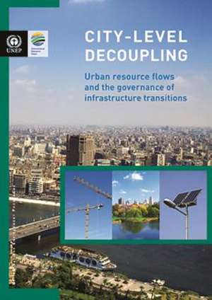 City-Level Decoupling: Urban Resource Flows and the Governance of Infrastructure Transitions de United Nations