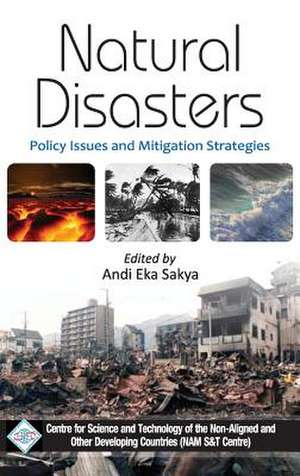 Natural Disasters de Andi Eka Sakya