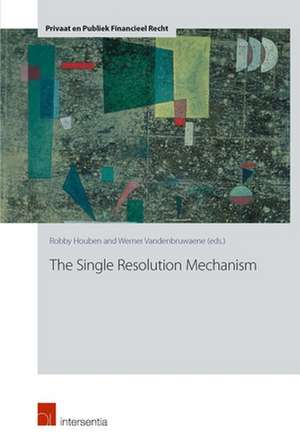 The Single Resolution Mechanism de Robby Houben