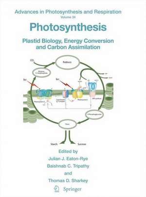 Photosynthesis: Plastid Biology, Energy Conversion and Carbon Assimilation de Julian J. Eaton-Rye