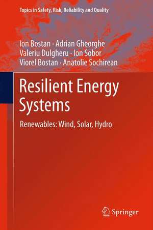 Resilient Energy Systems: Renewables: Wind, Solar, Hydro de Ion Bostan