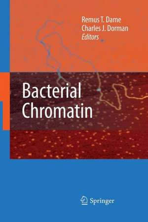 Bacterial Chromatin de Remus T. Dame