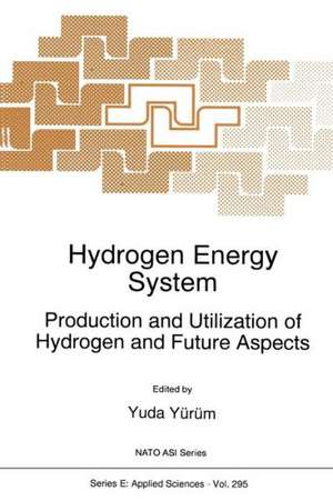 Hydrogen Energy System: Production and Utilization of Hydrogen and Future Aspects de Yuda Yürüm