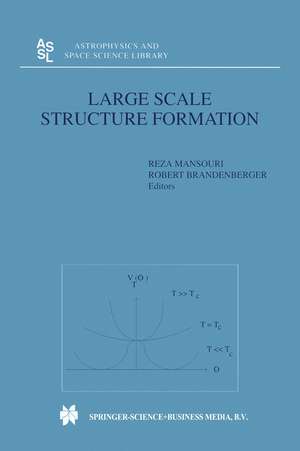 Large Scale Structure Formation de Reza Mansouri