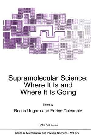 Supramolecular Science: Where It Is and Where It Is Going de Rocco Ungaro