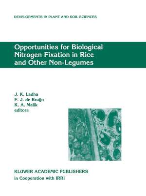 Opportunities for Biological Nitrogen Fixation in Rice and Other Non-Legumes: Papers presented at the Second Working Group Meeting of the Frontier Project on Nitrogen Fixation in Rice held at the National Institute for Biotechnology and Genetic Engineering (NIBGE), Faisalabad, Pakistan, 13–15 October 1996 de J.K. Ladha