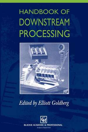 Handbook of Downstream Processing de E. Goldberg