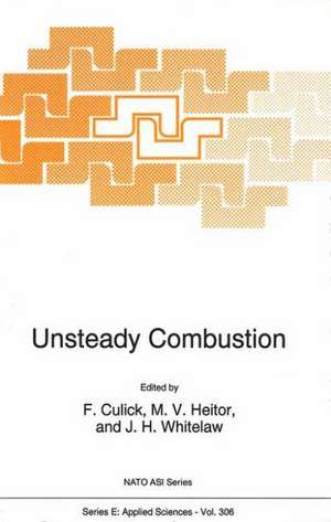 Unsteady Combustion de F. Culick