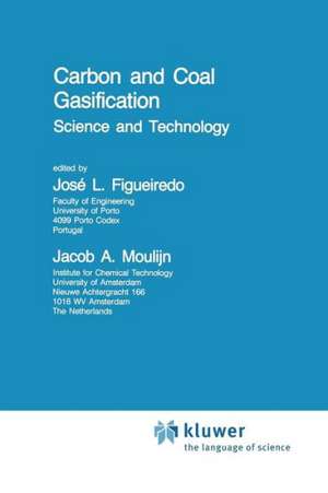 Carbon and Coal Gasification: Science and Technology de J.L. Figueiredo