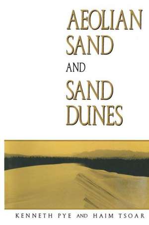 Aeolian sand and sand dunes de K. Pye