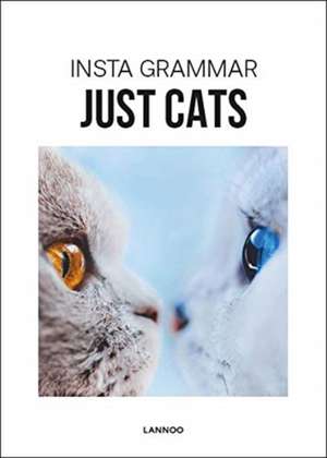 INSTA GRAMMAR JUST CATS de Irene Schampaert