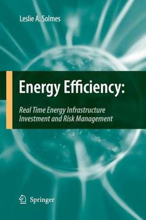 Energy Efficiency: Real Time Energy Infrastructure Investment and Risk Management de Leslie A. Solmes