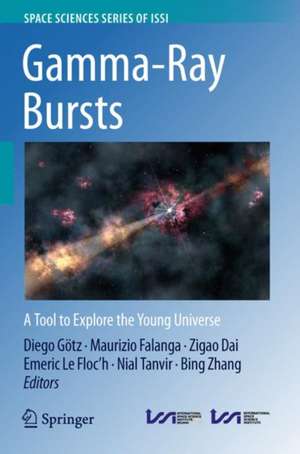 Gamma-Ray Bursts: A Tool to Explore the Young Universe de Diego Götz