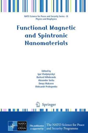 Functional Magnetic and Spintronic Nanomaterials de Igor Vladymyrskyi