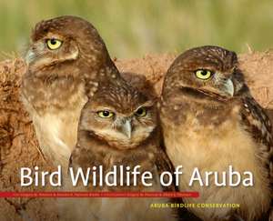 Bird Wildlife of Aruba de Greg Peterson