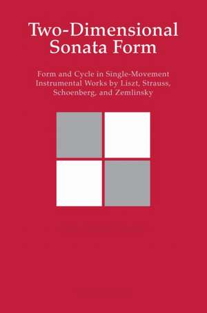 Two-Dimensional Sonata Form de Steven Vande Moortele