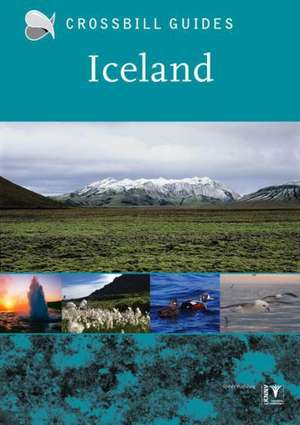 Iceland de Andy Jones