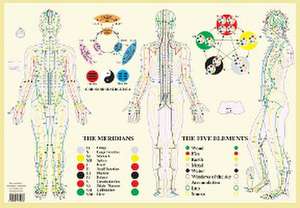 Meridians / Five Elements -- A2 de Jan van Baarle