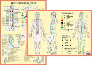 Meridians and 5 Elements de Jan Van Baarle