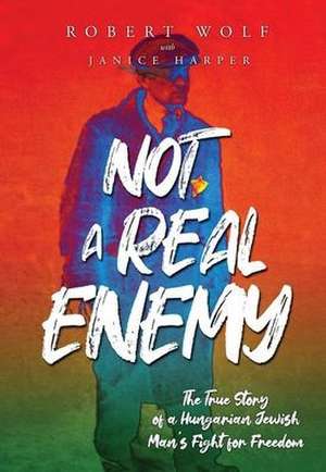 Not A Real Enemy de Robert Wolf