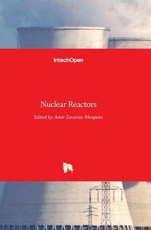 Nuclear Reactors de Amir Mesquita