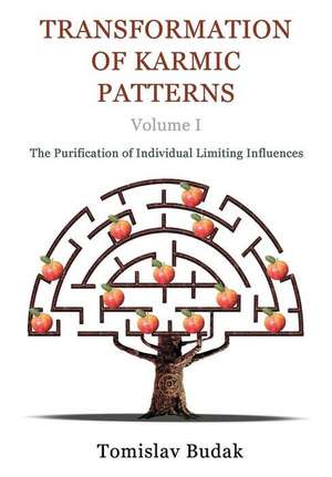 Transformation of Karmic Patterns, Volume I