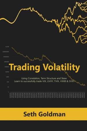 Trading Volatility Using Correlation, Term Structure and Skew de Seth Goldman