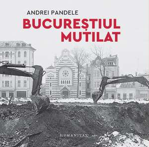 Bucureștiul mutilat de Andrei Pandele