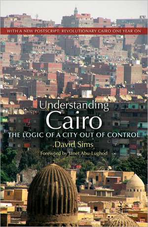 Understanding Cairo: The Logic of a City Out of Control de David Sims