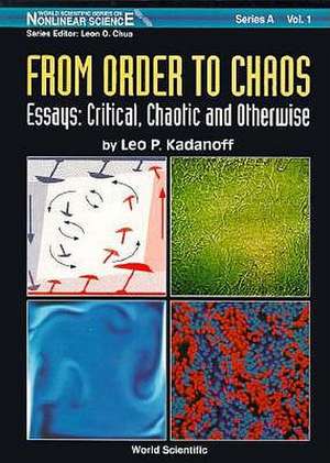 From Order to Chaos - Essays de L. P. Kadanoff