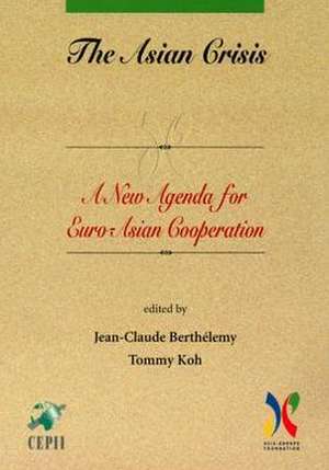 The Asian Crisis: A New Agenda for Euro-Asian Cooperation de Jean-Claude Berthelemy