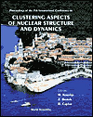 Proceedings of the 7th International Conference on Clustering Aspects of Nuclear Structure and Dynamics de M. Korolija