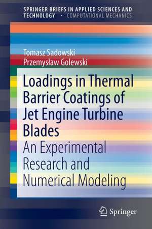 Loadings in Thermal Barrier Coatings of Jet Engine Turbine Blades: An Experimental Research and Numerical Modeling de Tomasz Sadowski