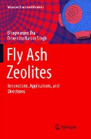 Fly Ash Zeolites: Innovations, Applications, and Directions de Bhagwanjee Jha