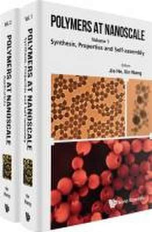 Polymers at Nanoscale (in 2 Volumes) de Jie He