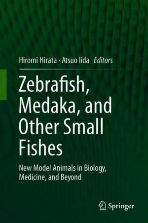 Zebrafish, Medaka, and Other Small Fishes: New Model Animals in Biology, Medicine, and Beyond de Hiromi Hirata