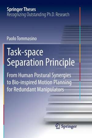 Task-space Separation Principle de Paolo Tommasino