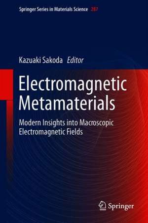 Electromagnetic Metamaterials: Modern Insights into Macroscopic Electromagnetic Fields de Kazuaki Sakoda