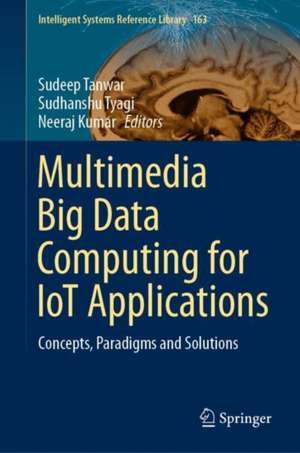 Multimedia Big Data Computing for IoT Applications: Concepts, Paradigms and Solutions de Sudeep Tanwar