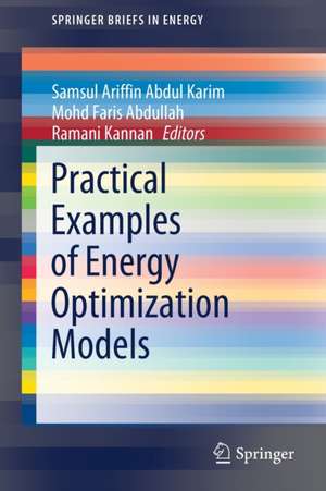 Practical Examples of Energy Optimization Models de Samsul Ariffin Abdul Karim