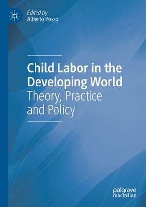 Child Labor in the Developing World: Theory, Practice and Policy de Alberto Posso