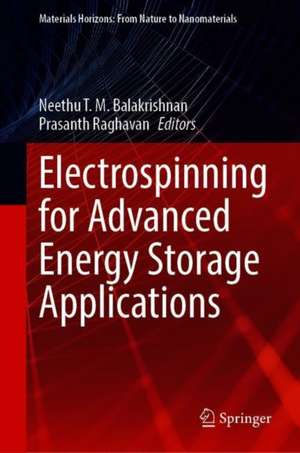 Electrospinning for Advanced Energy Storage Applications de Neethu T. M. Balakrishnan