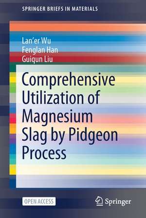 Comprehensive Utilization of Magnesium Slag by Pidgeon Process de Lan'er Wu