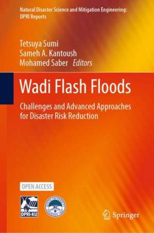 Wadi Flash Floods: Challenges and Advanced Approaches for Disaster Risk Reduction de Tetsuya Sumi