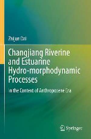 Changjiang Riverine and Estuarine Hydro-morphodynamic Processes: In the Context of Anthropocene Era de Zhijun Dai