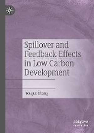 Spillover and Feedback Effects in Low Carbon Development de Youguo Zhang