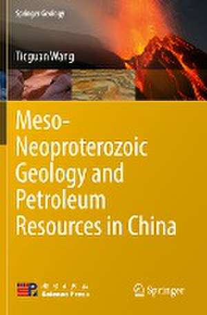 Meso-Neoproterozoic Geology and Petroleum Resources in China de Tieguan Wang